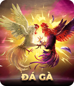 Đá gà FI88