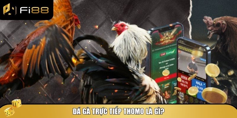 Cá Cược Đá Gà Trực Tiếp Thomo – Hướng Dẫn Chơi Và Mẹo Thắng Lớn 2 Những trận cá cược đá gà trực tiếp Thomo mang đến trải nghiệm chân thực và kịch tính