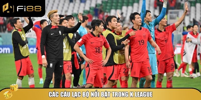 Tổng hợp các câu lạc bộ nổi bật tại giải bóng đá K League