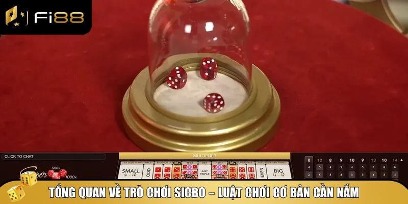 Cách Chơi Sicbo Hiệu Quả - Tăng Tỷ Lệ Thắng Với Vài Mẹo Đơn Giản 2 Hiểu về luật chơi để có cách chơi Sicbo hiệu quả