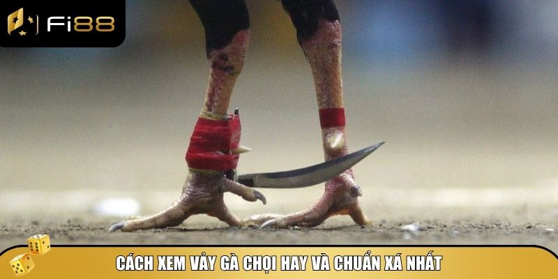 Hướng Dẫn Cách Xem Vảy Gà Chọi Hay – Chọn Gà Chiến Chuẩn Nhất 3 Cách xem vảy gà chọi hay cũng như phân biệt vảy xấu để tránh chọn nhầm