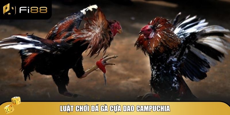 Những nguyên tắc cơ bản trong luật chơi đá gà cựa dao Campuchia