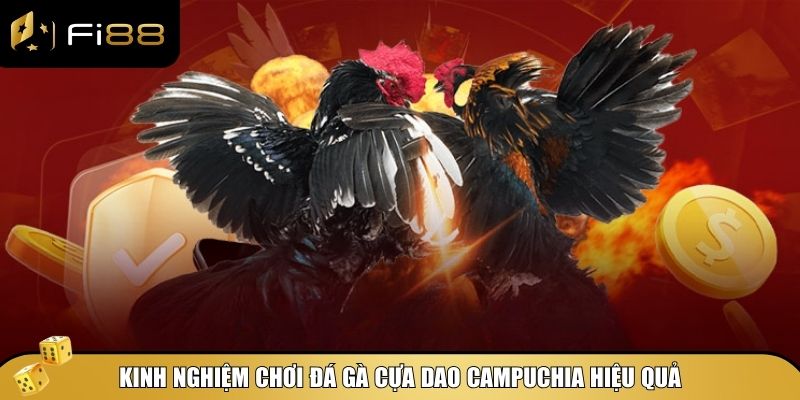 Kinh nghiệm chơi đá gà cựa dao Campuchia hiệu quả