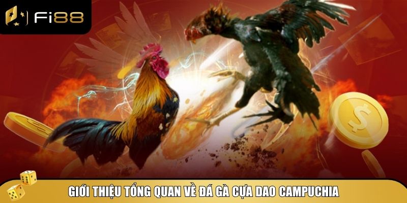 Đá gà cựa dao Campuchia là hình thức đá gà được yêu thích tại Đông Nam Á