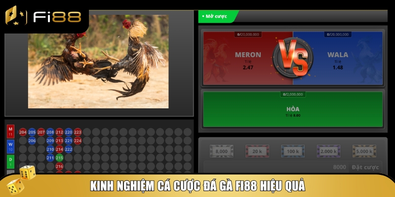 Kinh nghiệm chinh phục đá gà Fi88