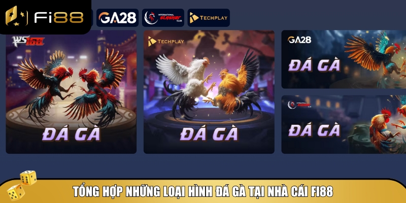 Các hình thức chơi đá gà Fi88