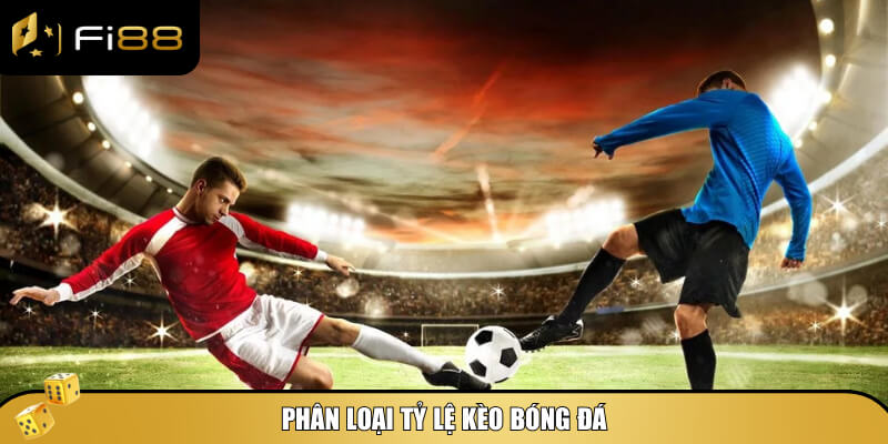 Tỷ Lệ Kèo Bóng Đá Chính Xác - Bí Quyết, Phân Tích, Dự Đoán 3 Phân loại đầy đủ các tỷ lệ kèo phổ biến