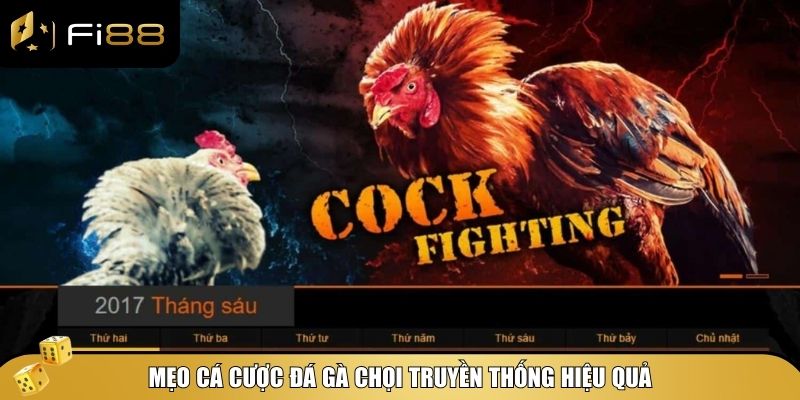 Đá gà chọi truyền thống Fi88: Trải nghiệm cá cược đỉnh cao 4 Mẹo cá cược tăng cơ hội chiến thắng khi tham gia đá gà chọi tại Fi88