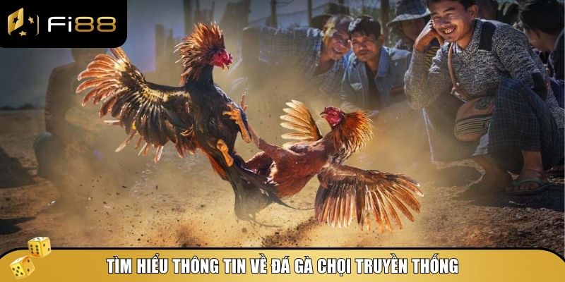 Đá gà chọi truyền thống Fi88: Trải nghiệm cá cược đỉnh cao 2 Tìm hiểu thông tin về đá gà chọi truyền thống