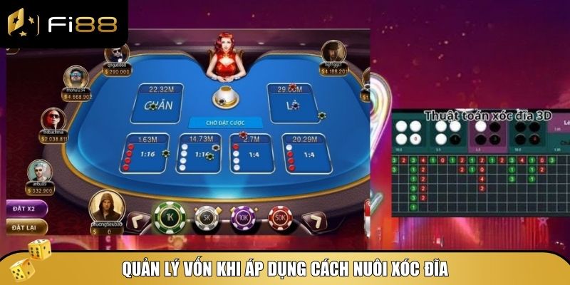 Cách nuôi xóc đĩa hiệu quả: Chiến thuật ghi điểm dài hạn 4 Quản lý vốn khi áp dụng cách nuôi xóc đĩa
