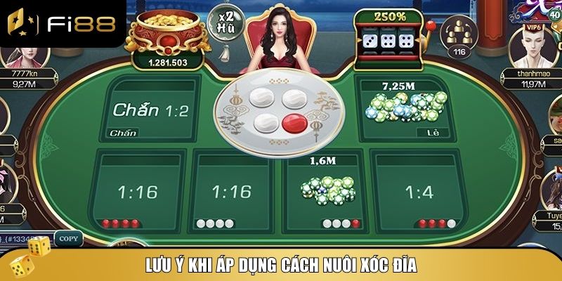 Cách nuôi xóc đĩa hiệu quả: Chiến thuật ghi điểm dài hạn 5 Lưu ý khi áp dụng cách nuôi xóc đĩa