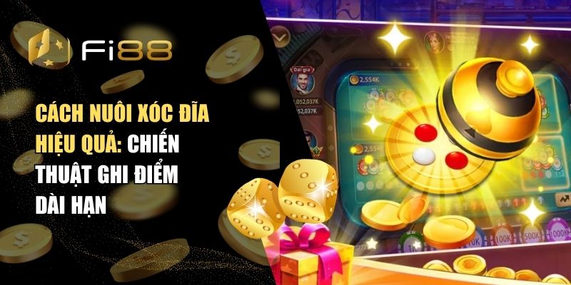 Cách nuôi xóc đĩa hiệu quả: Chiến thuật ghi điểm dài hạn